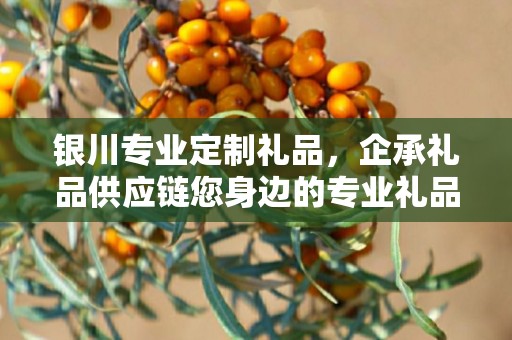 银川专业定制礼品，企承礼品供应链您身边的专业礼品定制公司